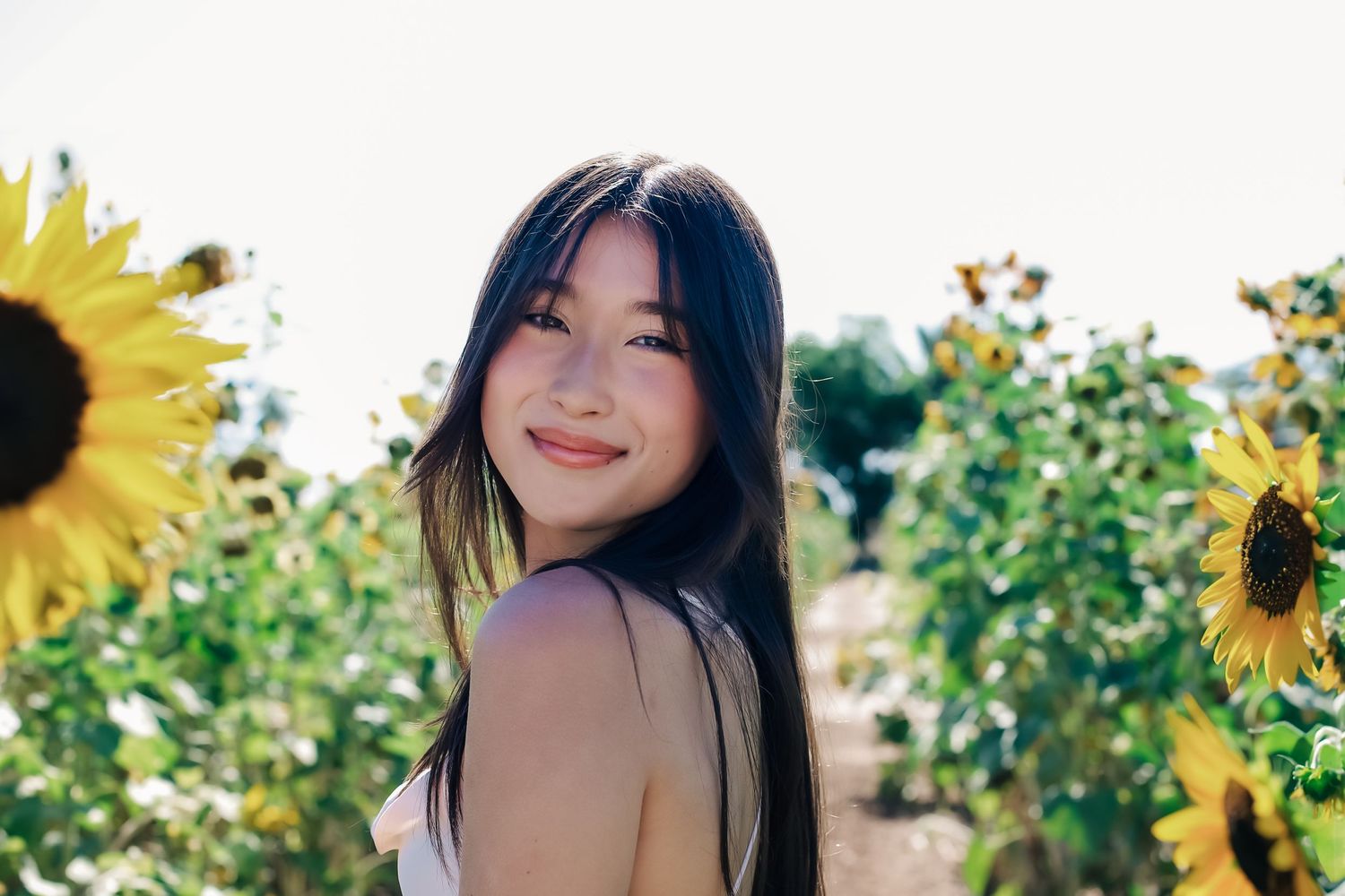 A series of portrait shots in a sunflower field with bright yellow blooms and natural sunlight.