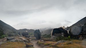 Rugged mountain terrain with fog rolling through the valleys and snow-dusted peaks in the background.