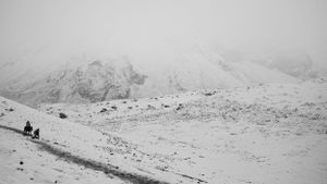 Snow-covered winter landscape with distant mountain peaks in monochrome.