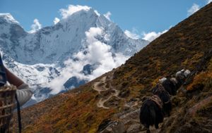 Snow-capped mountain peaks rise against a cloudy sky in a dramatic Himalayan landscape.