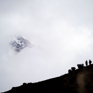 Silhouettes of trekkers on a mountain ridge against a misty white sky.