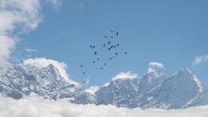 Dramatic mountain landscape with birds flying across a bright blue sky and snow-covered peaks in the distance.