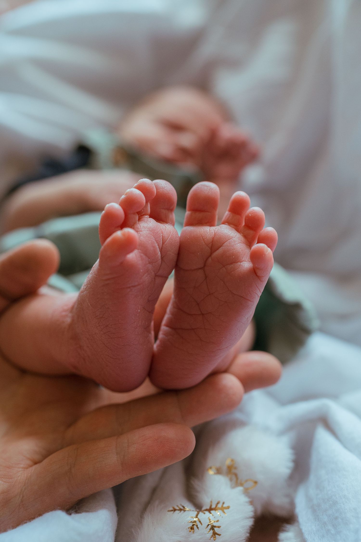 baby toes, held by mothers hand - Rosebud