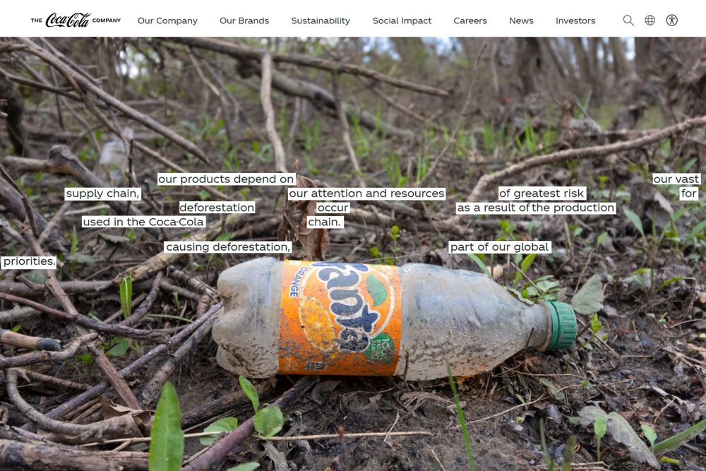 Annabelle Robinson Visual Arts social justice and environmental photography