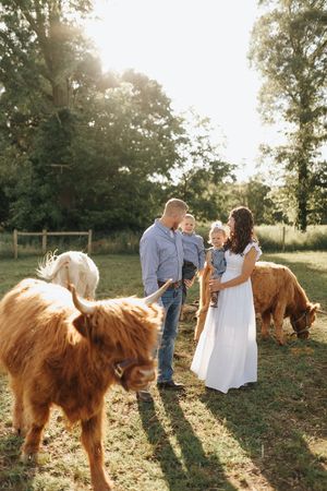 A family stands outdoors at sunset with Highland cattle grazing in a pastoral field, creating a serene rural scene.
