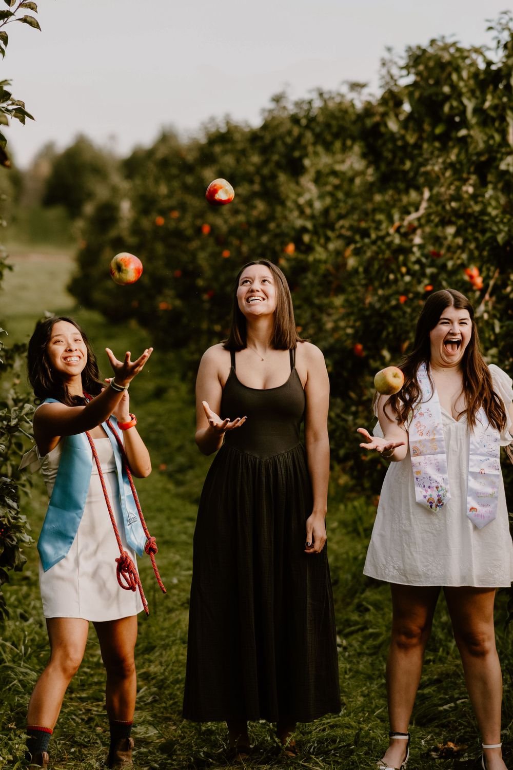 Group enjoying time together in an apple orchard on a sunny day.