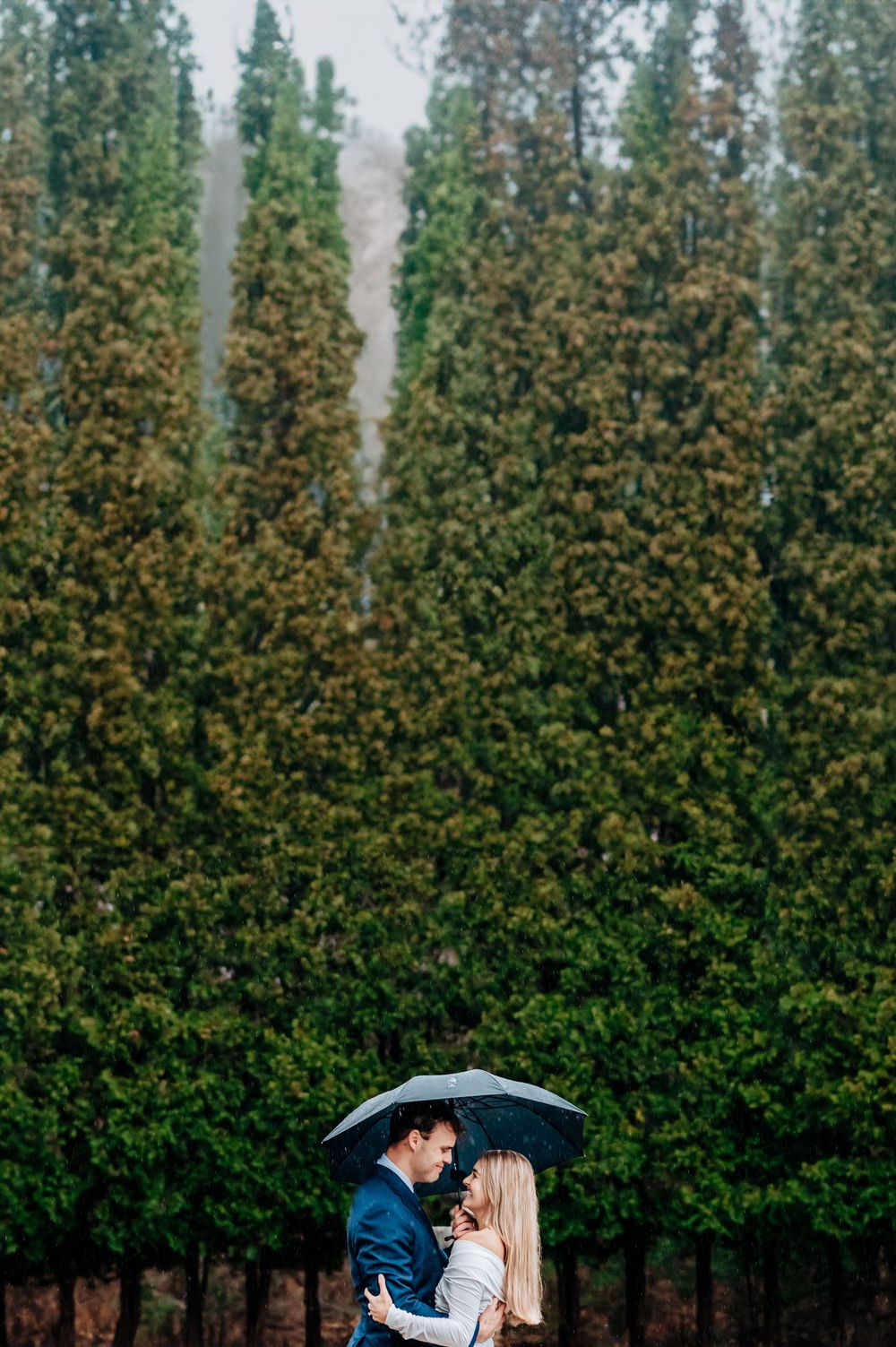 Couple sharing an umbrella in the rain against a backdrop of tall evergreen trees.