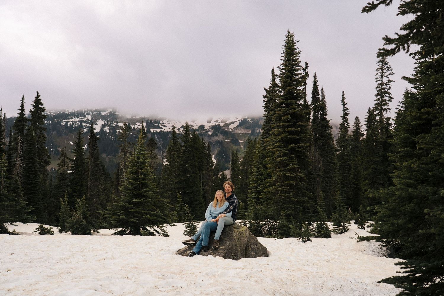 Snowy landscape with evergreen trees and mountains in Mount Rainier National Park during winter.