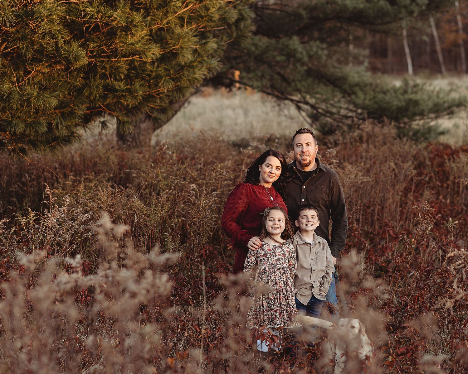 Professional photo of a family in a field