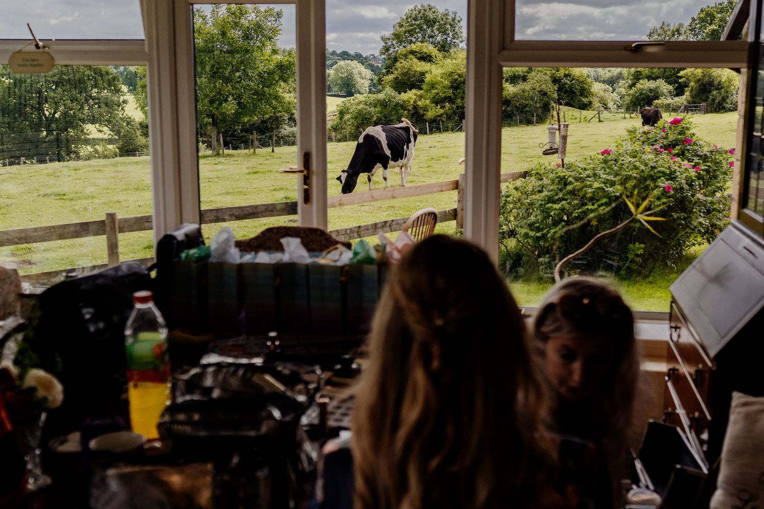 Natural light streams through large windows overlooking a pastoral landscape with fencing.