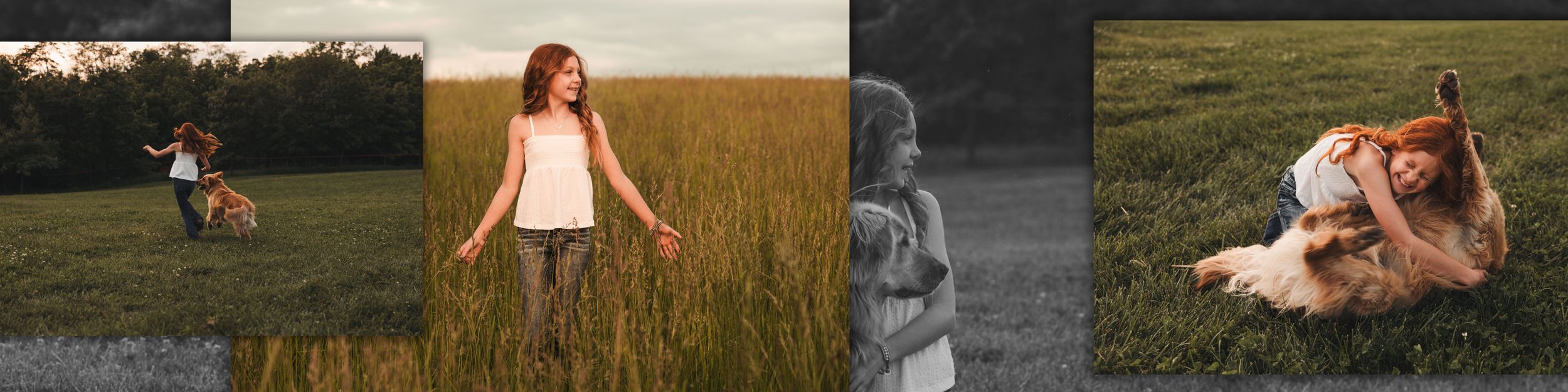 A series of outdoor photo portraits taken at golden hour showing various poses in grassy fields and meadows.