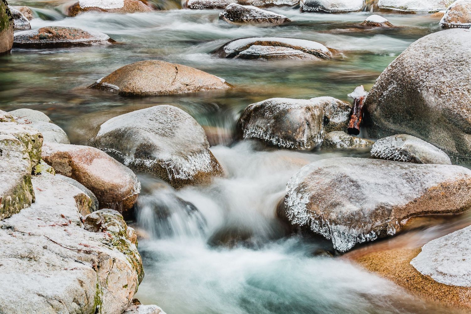 Lynn Creek, Lynn Canyon, North Vancouver