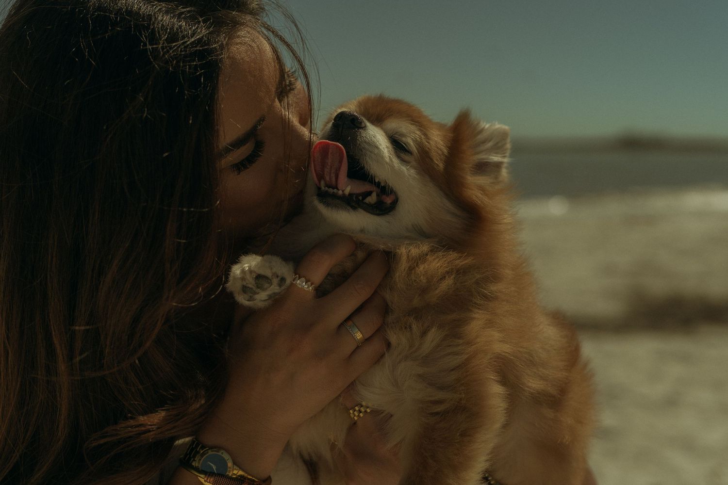 f holding her pomchi dog at the beach