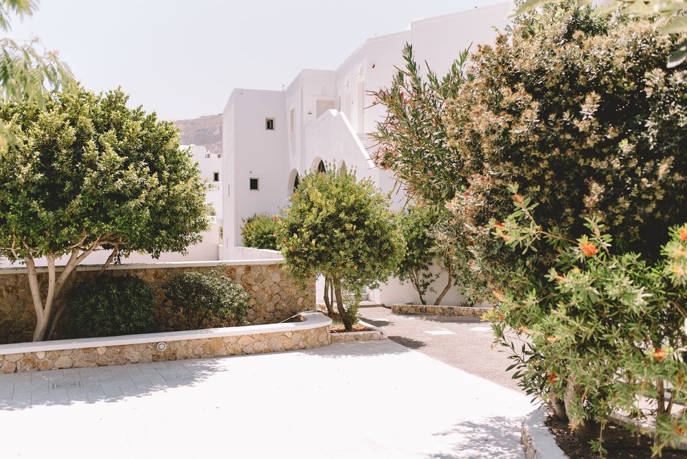 White Mediterranean villa with flowering trees and stone path surrounded by lush greenery in a sunny garden setting.