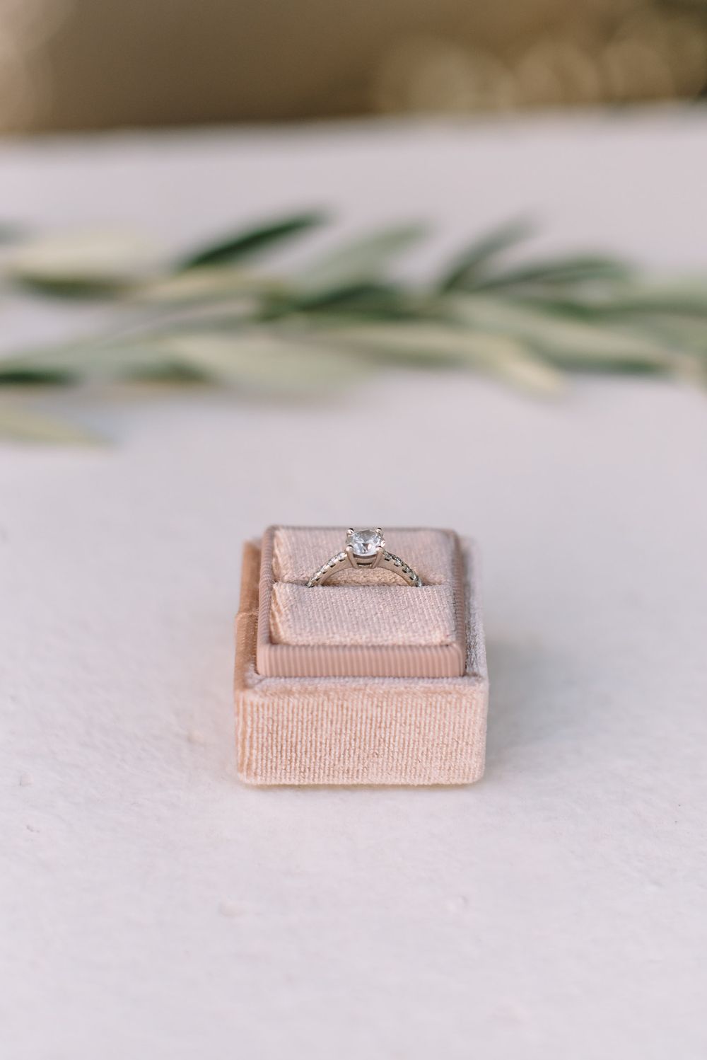 Diamond engagement ring in blush pink velvet box with olive sprigs in soft focus.