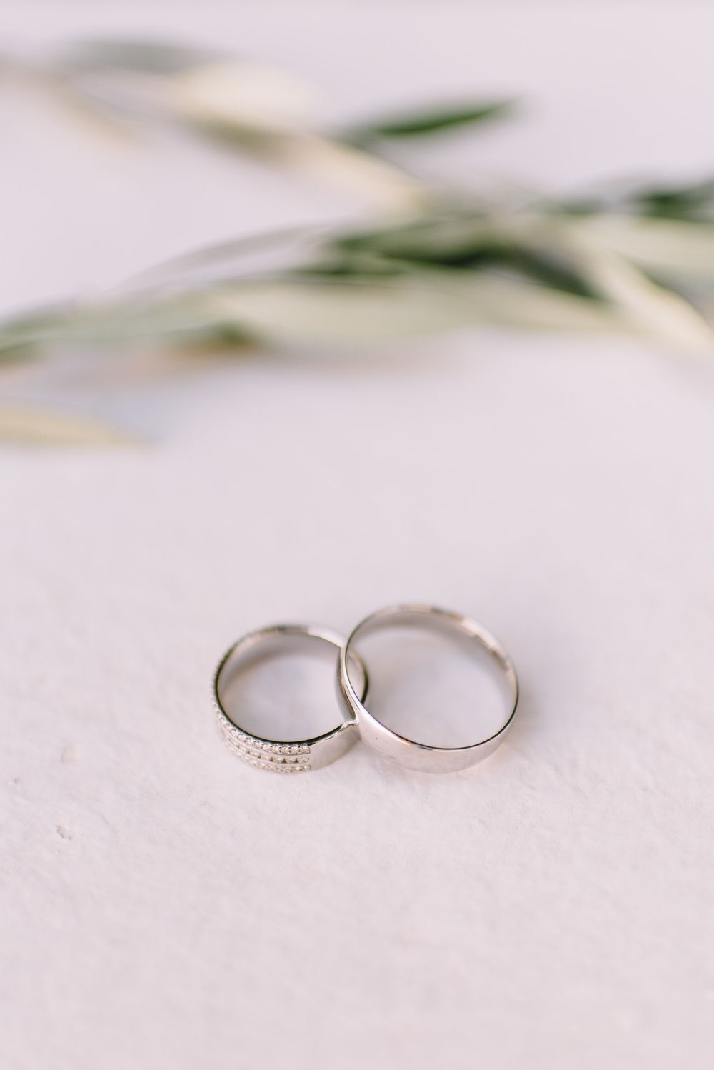 Two silver wedding bands resting together on white surface with soft green olive branch in background.