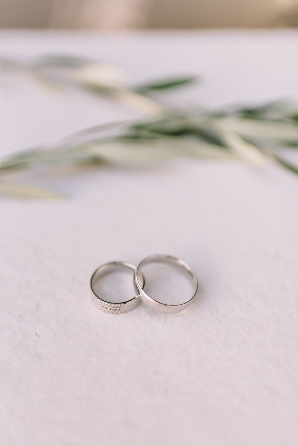 Two silver wedding bands placed on white surface with delicate olive leaves in background.