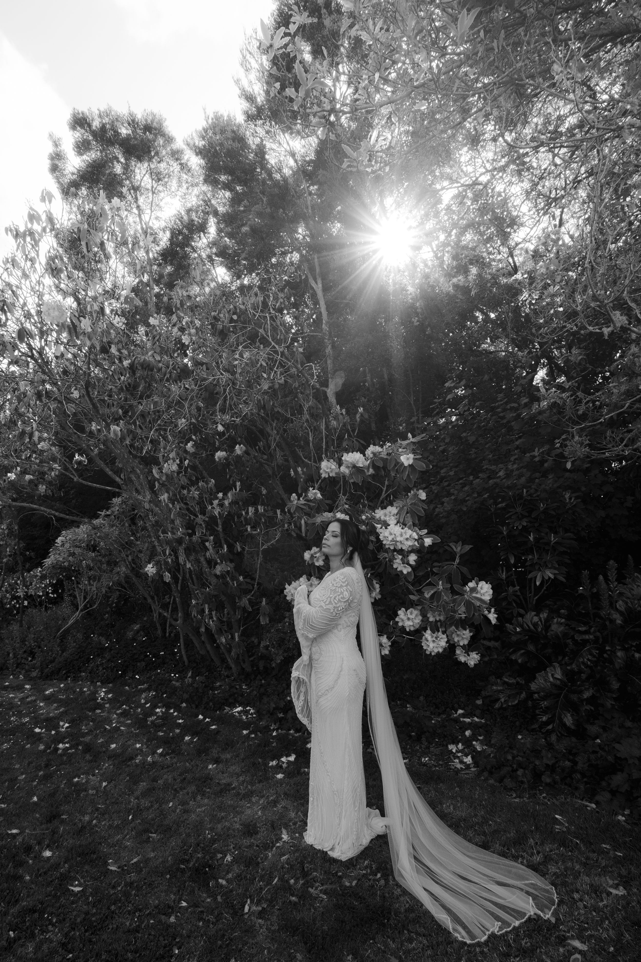 Bride during a post wedding photo shoot at the conservatory of flowers.