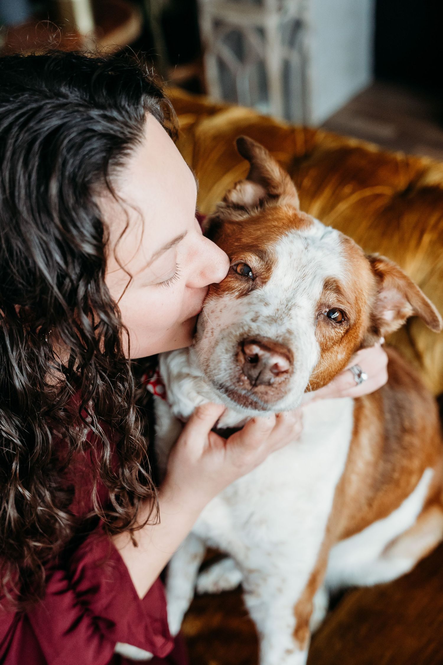 Close-up sequence of affectionate moments between dog and owner.