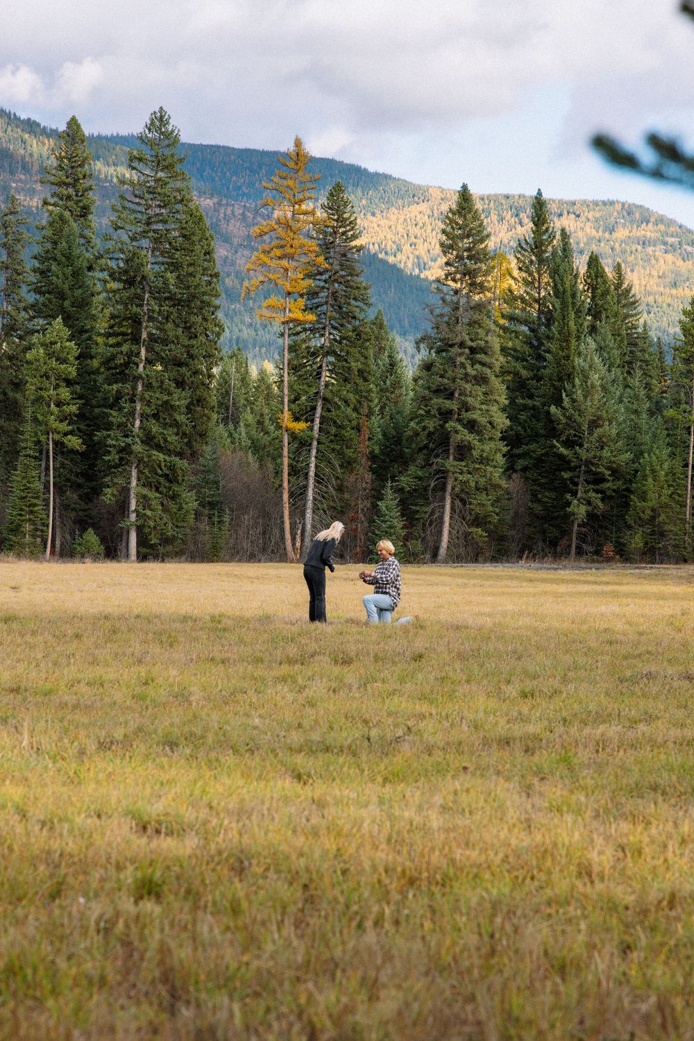 Two people stand together in a grassy meadow surrounded by evergreen trees and mountain scenery in the background.