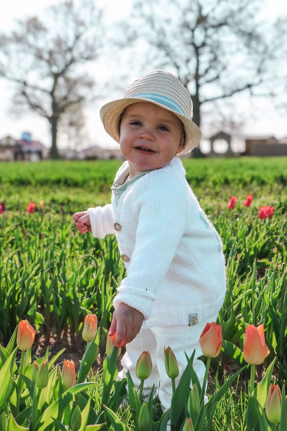 Small figure in white outfit and striped hat stands among vibrant orange tulips.