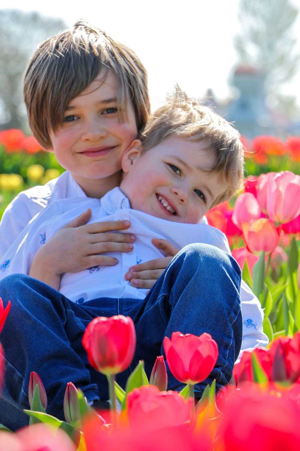 Two figures embracing among bright red tulips in a sunny garden setting.