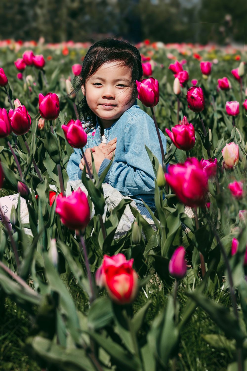 Child in denim jacket explores garden of bright pink tulip flowers during spring bloom.