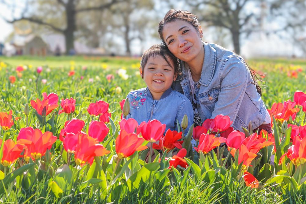 Parent and child posing together in field of vibrant red tulips on sunny spring day.
