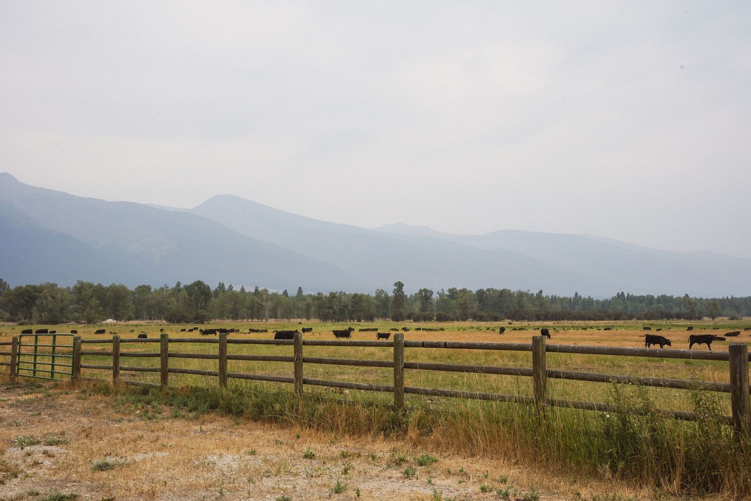 A wooden fence stretches across a rural field with rolling mountains and hazy sky in the background.
