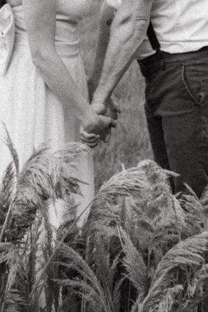 A black and white close-up of joined hands against swaying grasses.