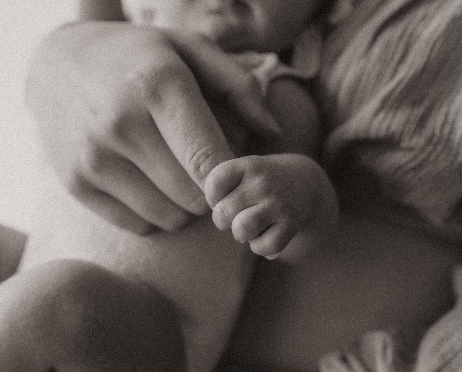 Seattle newborn photographer