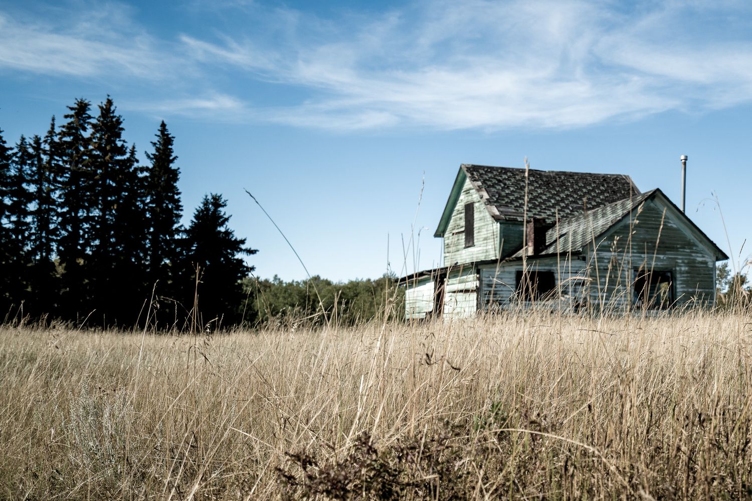 Abandoned Farmstead near Provost, AB