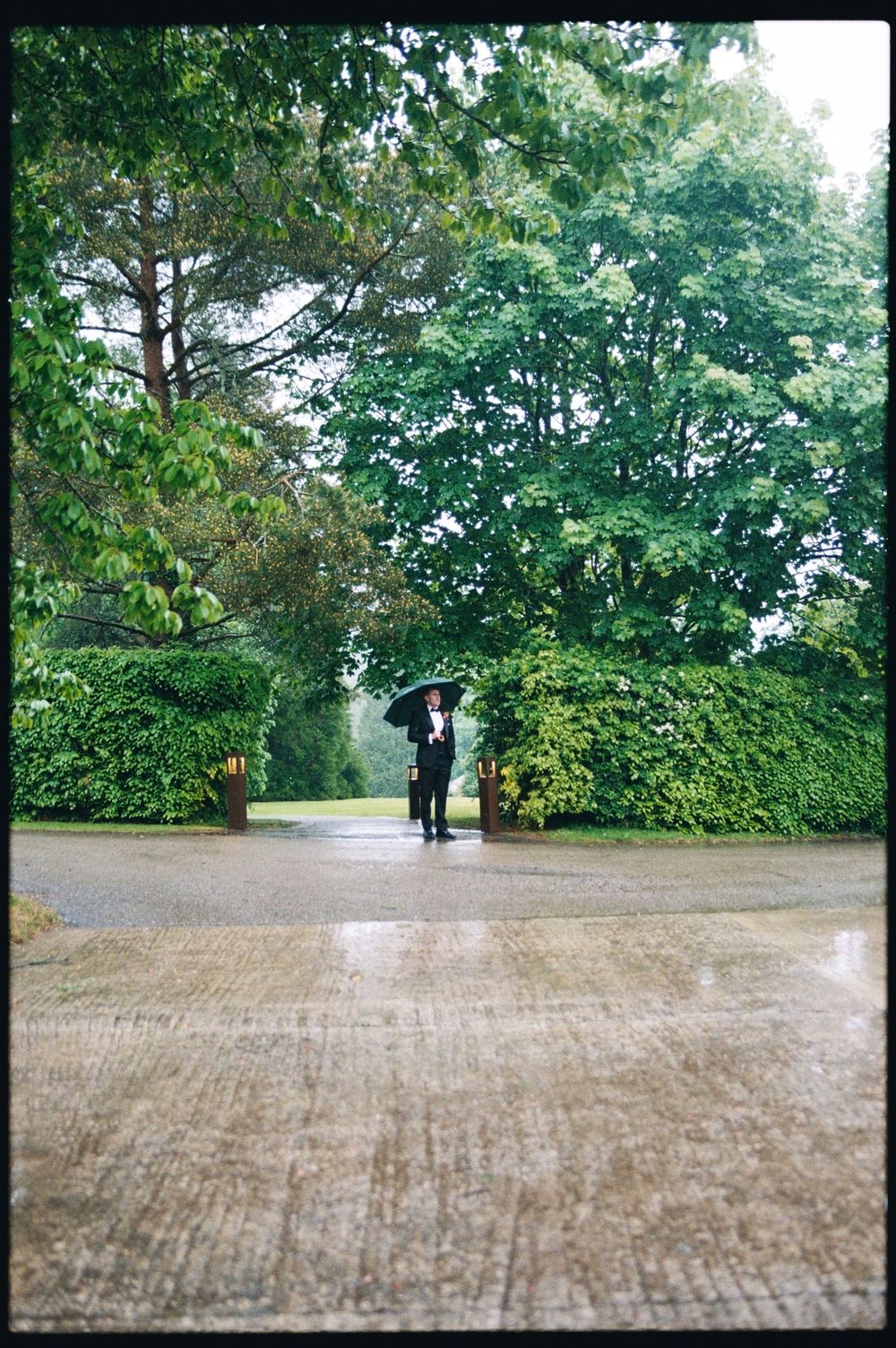 Person standing with black umbrella on wet cobblestone path surrounded by lush green trees and hedges on a rainy day.