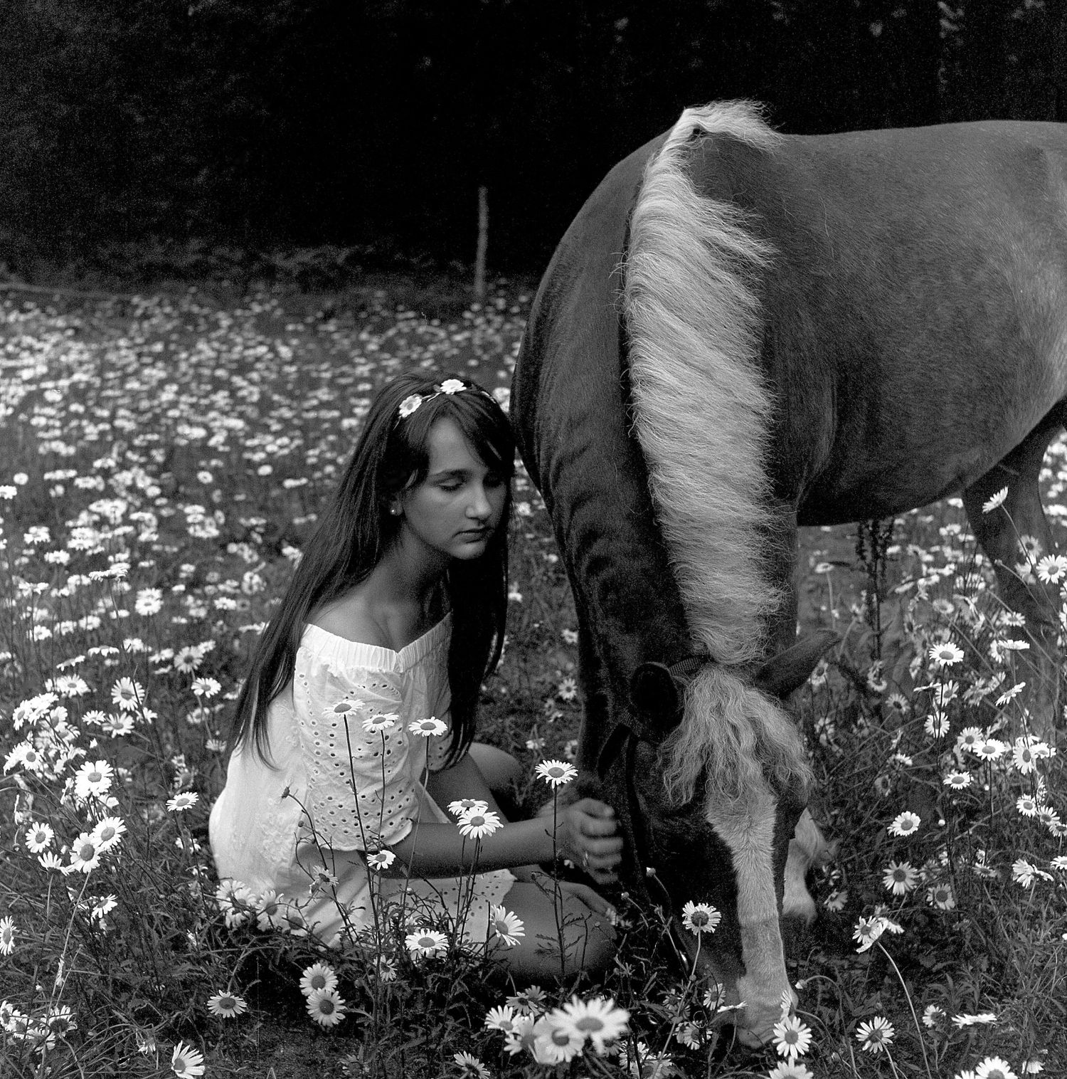 Black and white photo of a young woman in a white dress sitting in a daisy field beside a horse and foal.