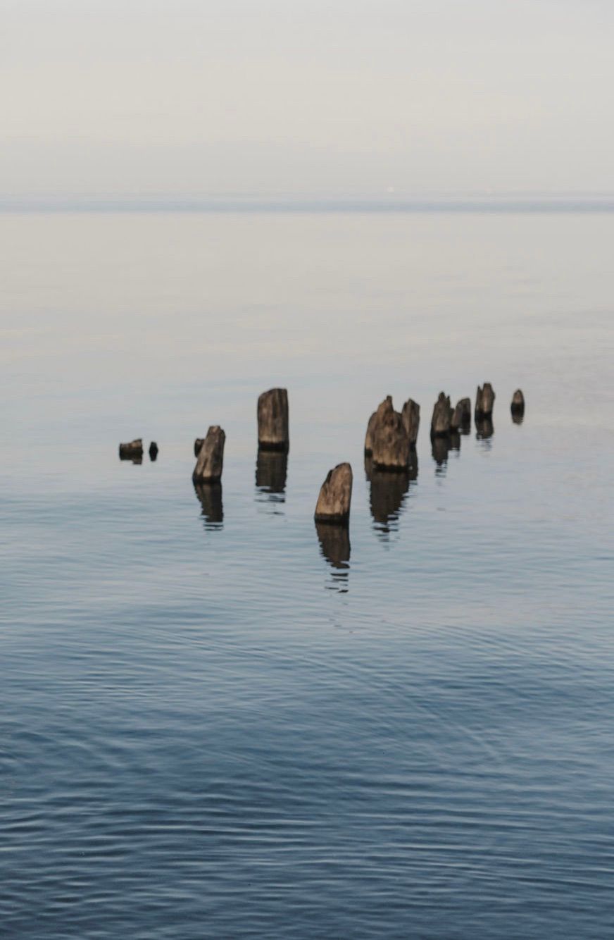 Still water at sunset with stumps sticking out