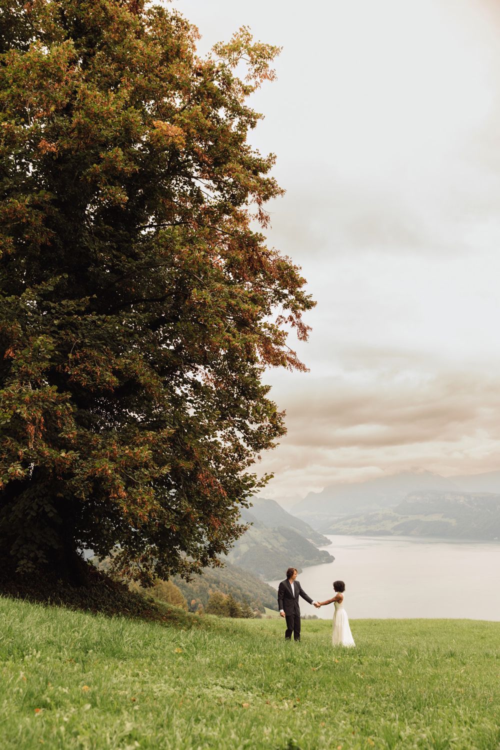 Distant view of a couple standing in a vast green meadow next to a large tree with mountains in the distance.
