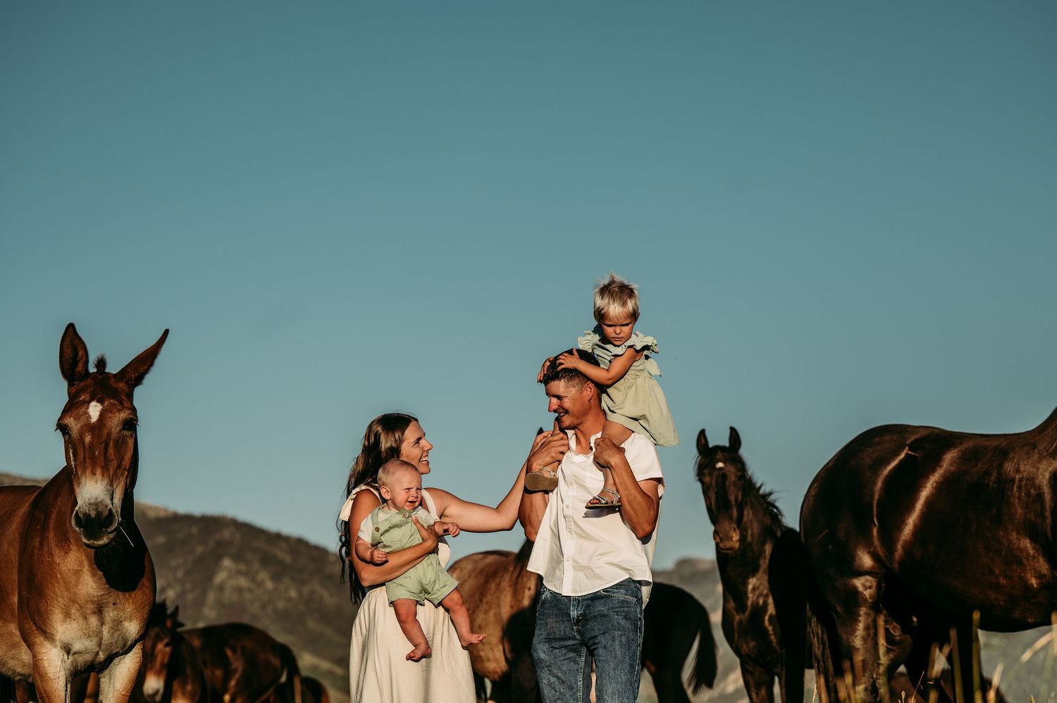 Family with toddler on shoulders poses among horses and mules in a sunny outdoor ranch setting.