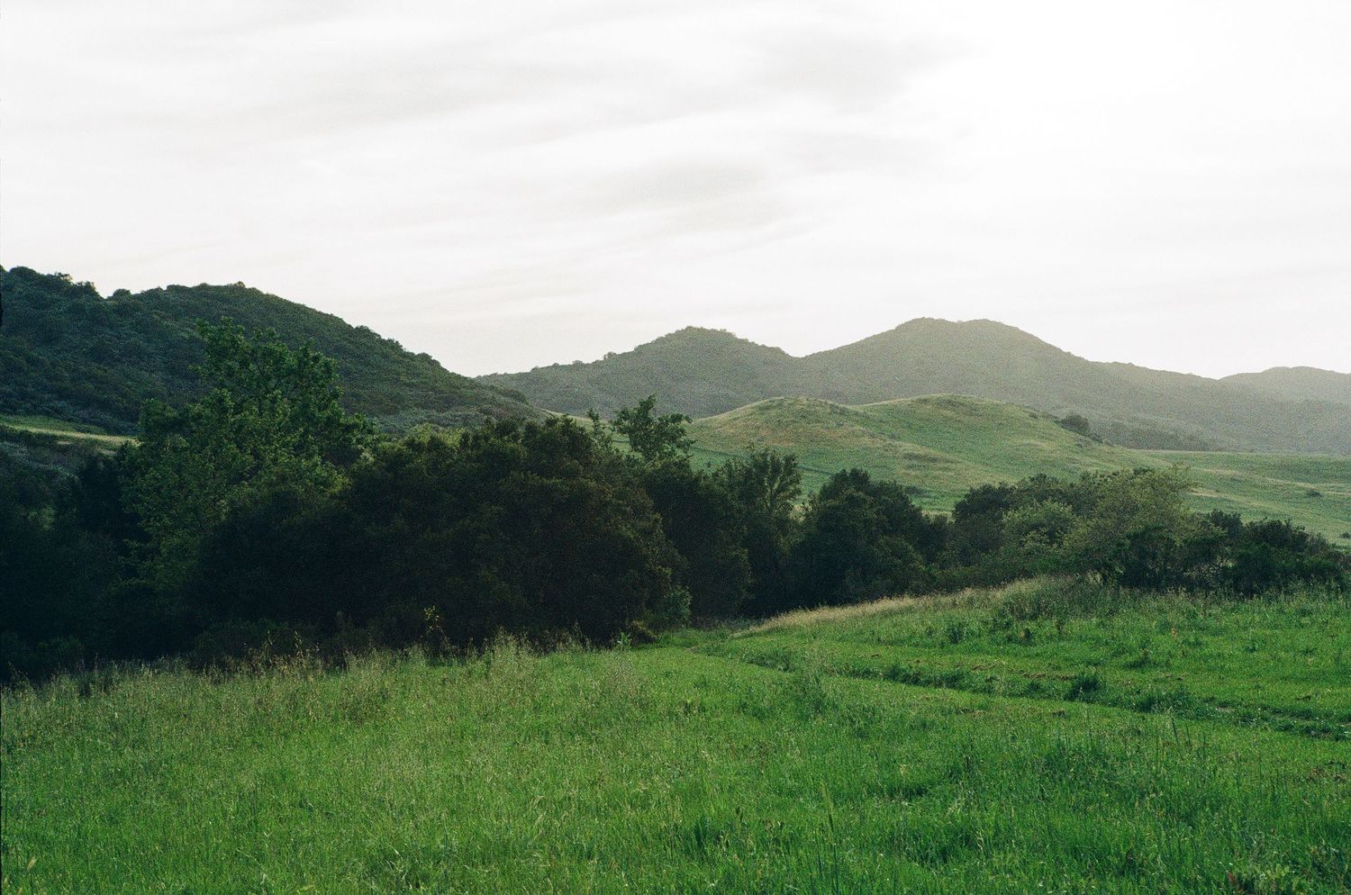 Film photography landscape photo of Ventura County vibrant green after Winter rains.