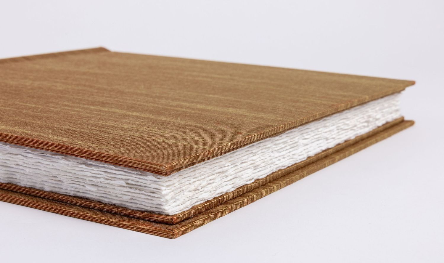 The artisan album with deckled edged paper with a caramel cover.