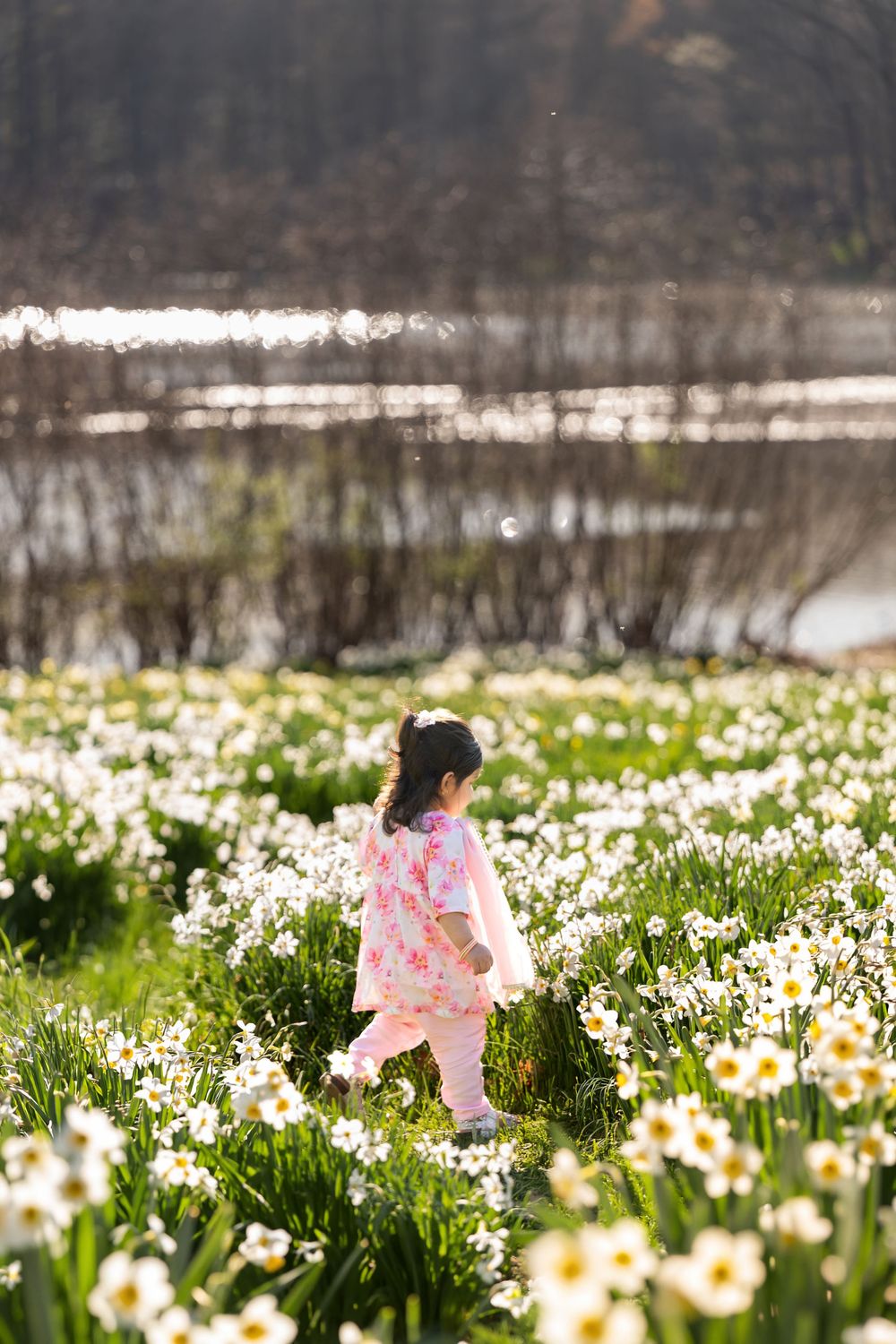 Young girl in pink floral outfit walking through a bright field of white daffodils near a lake.