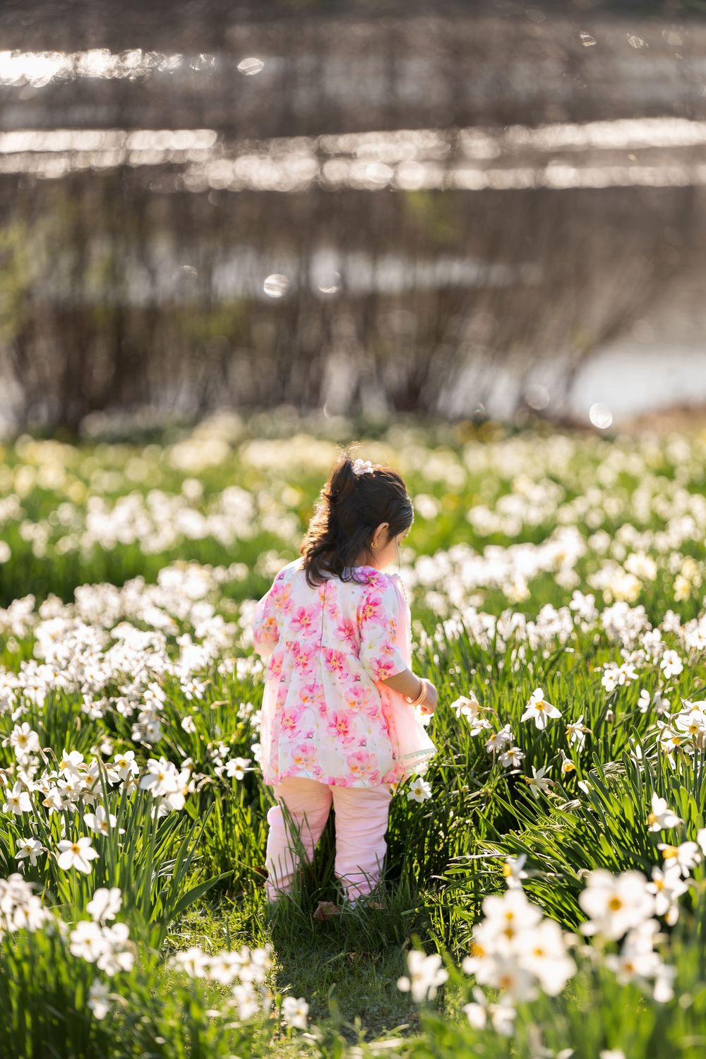 Toddler girl in pink floral dress walking away through a sunlit field of white daffodils.