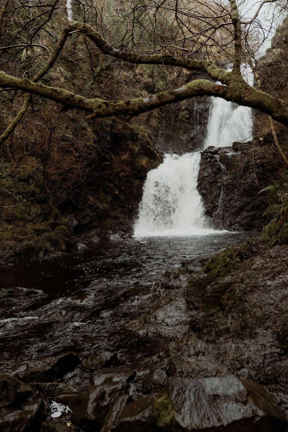 A rushing waterfall cascades over mossy rocks into a dark pool, framed by bare branches in a lush forest.