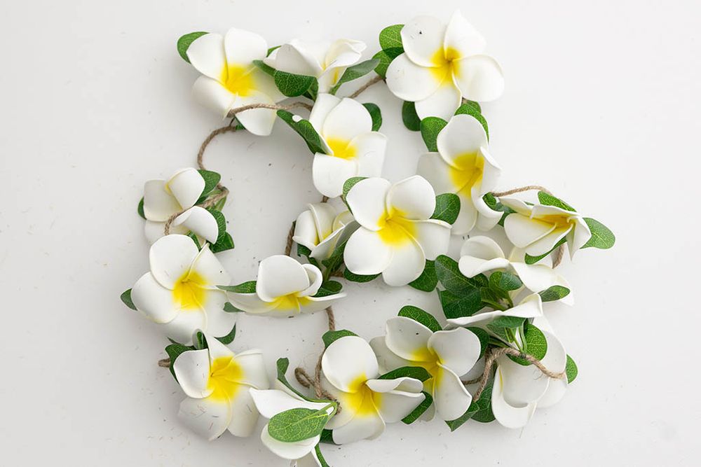 White artificial plumeria frangipani flower garland with yellow centers and green leaves on white.