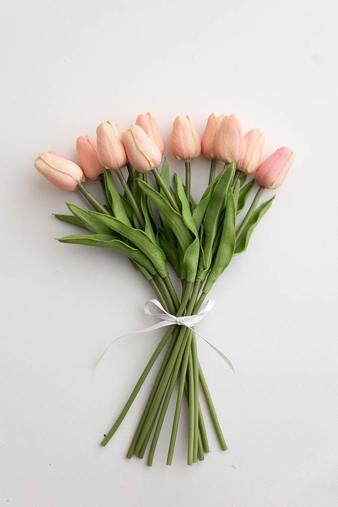Bouquet of pink tulips tied with a white ribbon on a white background.