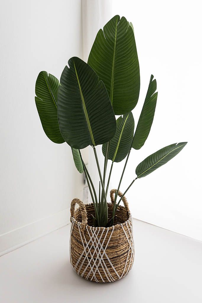 Large greenery planter against a white wall. Studio catalog for Menifee baby and child photographer.