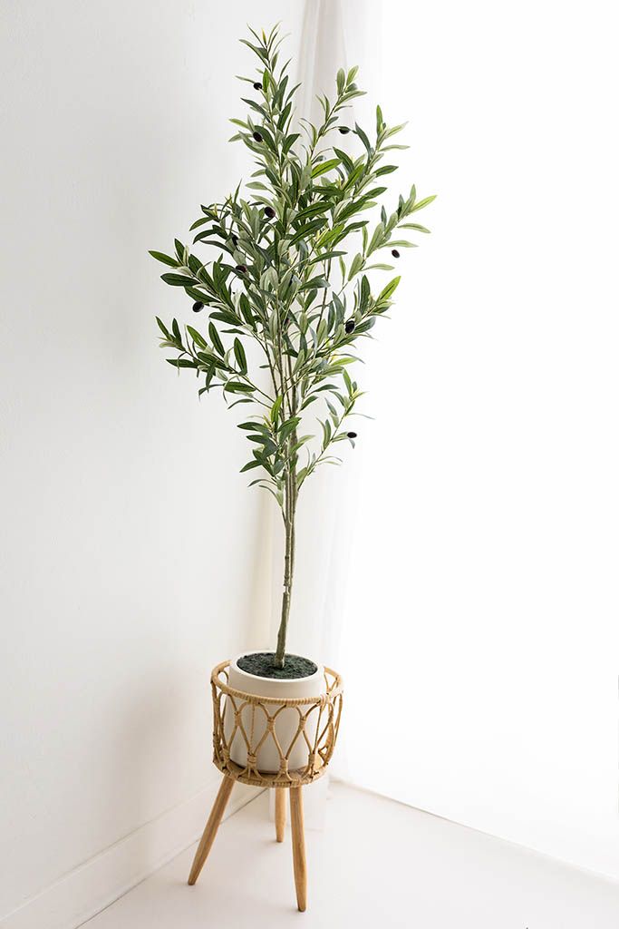Artificial olive tree in a white pot with a rattan stand against a white wall.