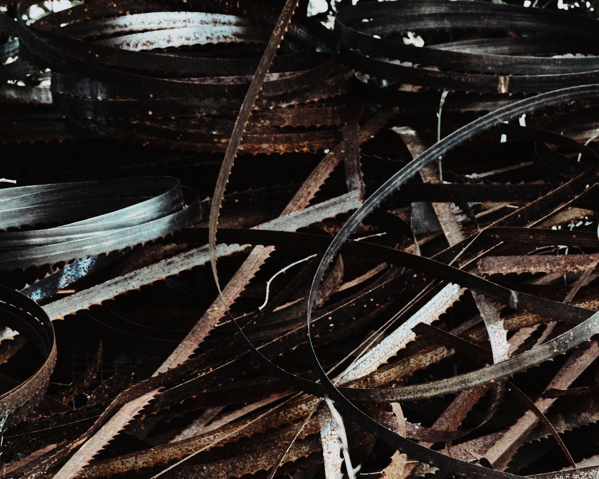 Pile of rusty, discarded band saw blades tangled together, showing signs of heavy oxidation and wear.