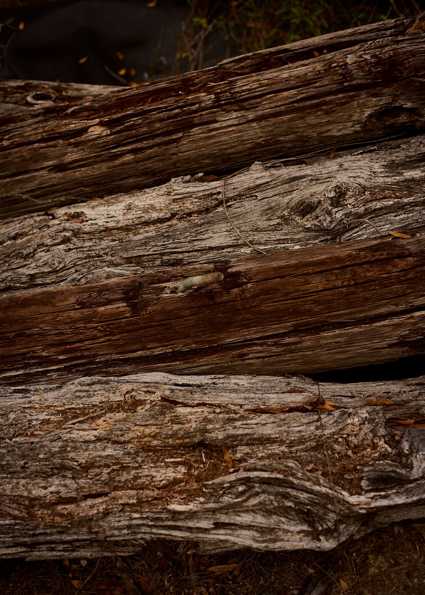 Close-up of weathered, aged wooden logs stacked together, showing rough texture and natural grain patterns.