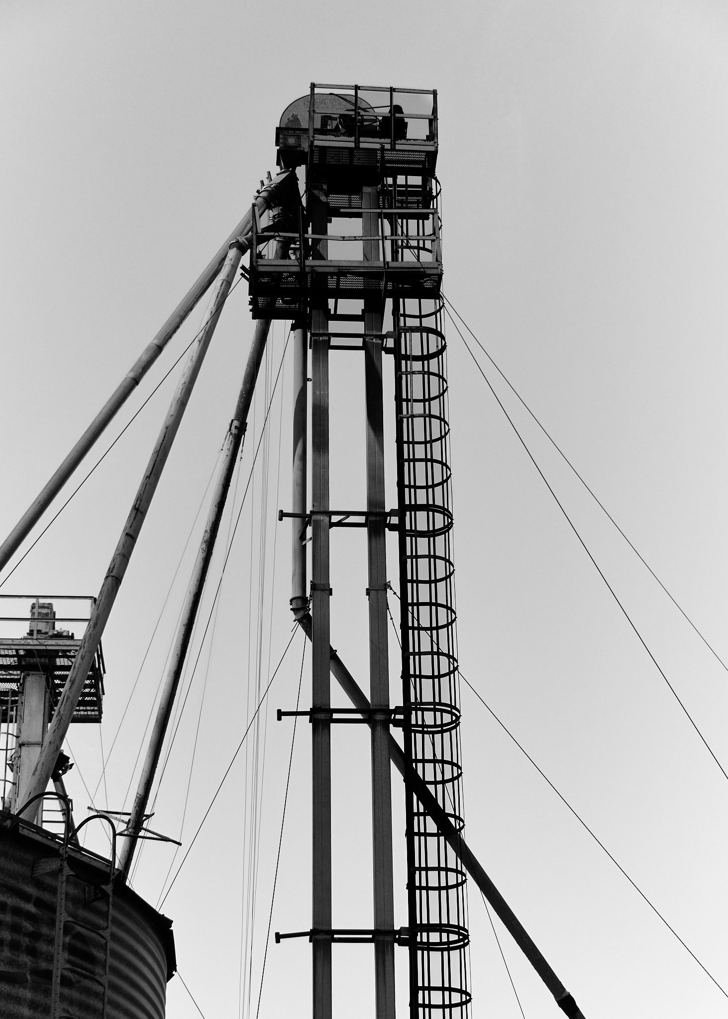 Black and white photo of an industrial grain elevator tower with ladder and cables against a clear sky.