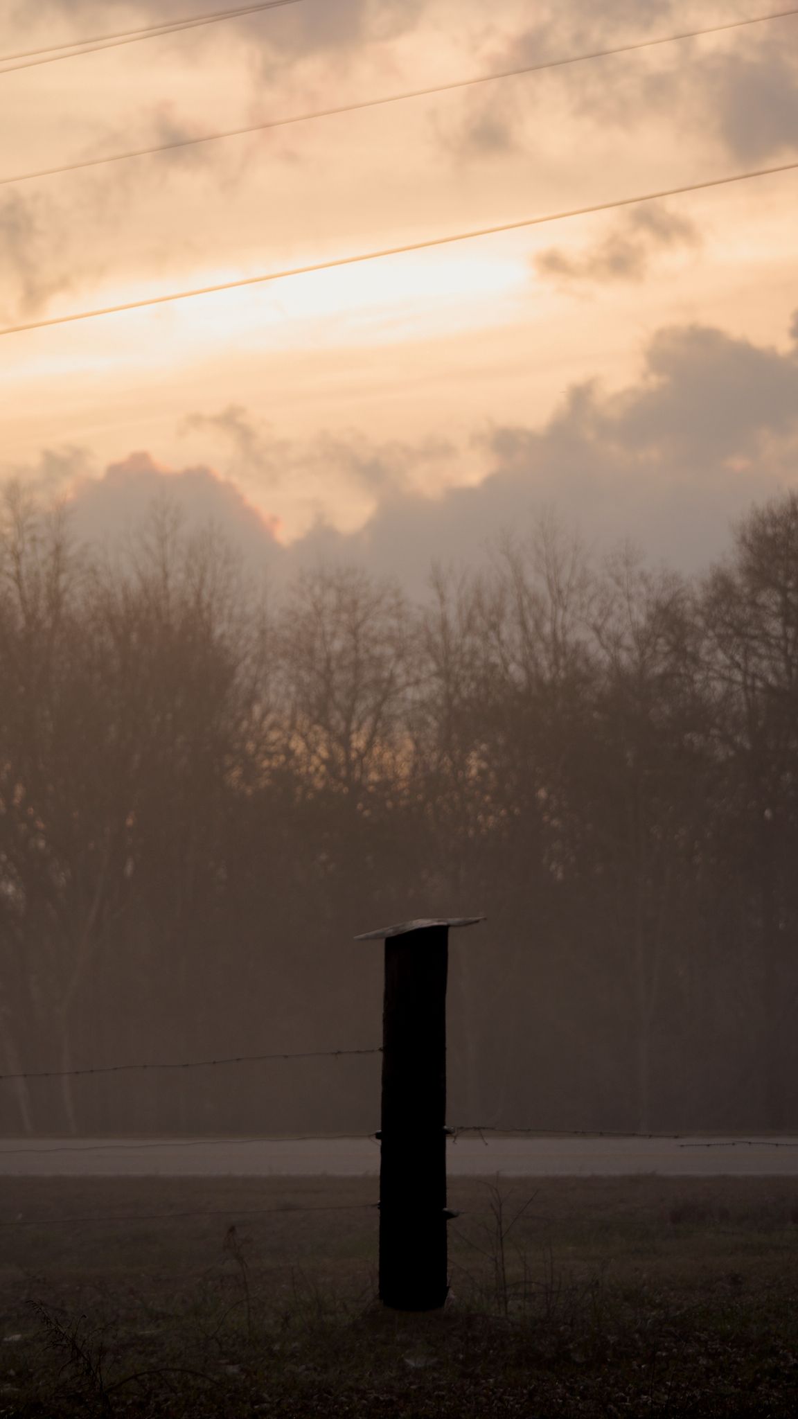 A misty rural sunset with a lone fence post, bare trees silhouetted against dramatic golden clouds and power lines.